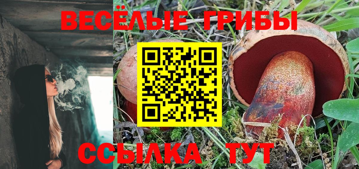 Галлюциногенные грибы GOLDEN TEACHER  сколько стоит  Партизанск  Вход с VPN 